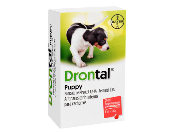 Drontal Puppy 20 ml