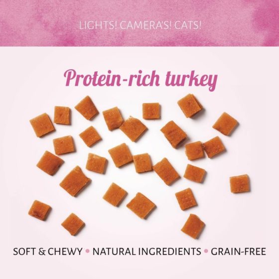 Cat Treats Roasted Pavo 50 gr - Imagen 2