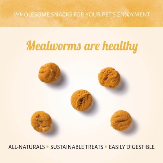 Snack Perro Insecta Mealworm With Pumpkin 100gr - Imagen 2