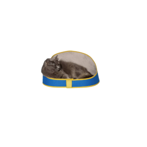 ZeeCat Cama Polo