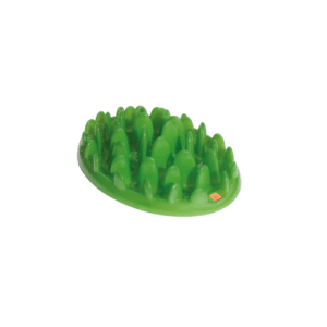 Northmate Plato Green Interactivo