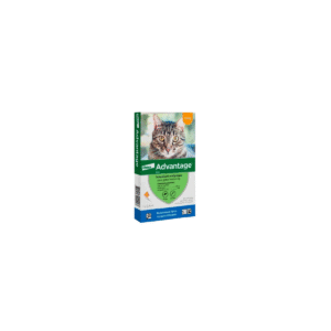 Advantage Pipeta  Gatos hasta 4 KG